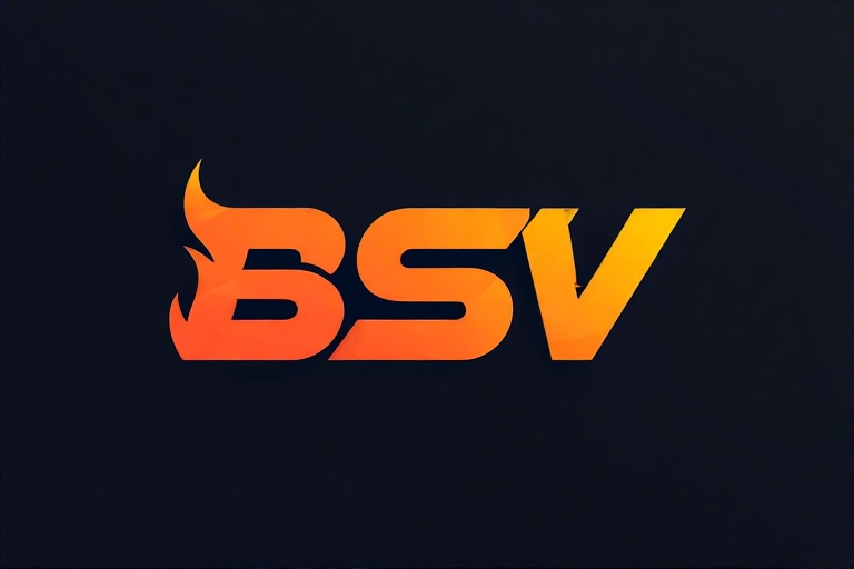 BSV Exchange Logo